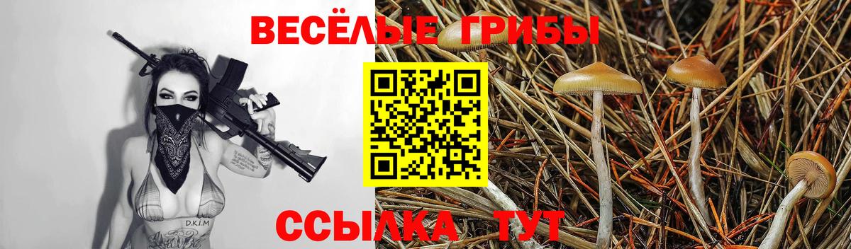 АМФЕТАМИН   Мефедрон  Конопля  Дзержинск  Вход с VPN  КОКАИН  Гашиш  Меф МЯУ МЯУ   Наркошоп  Альфа ПВП СК кристаллы  НБОМе 