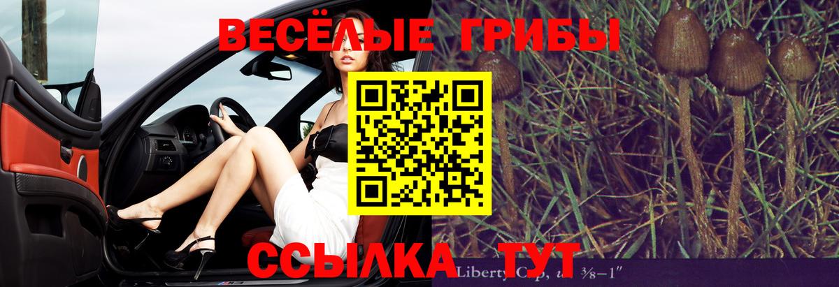 Дзержинск  Галлюциногенные грибы мухоморы  Вход с VPN 